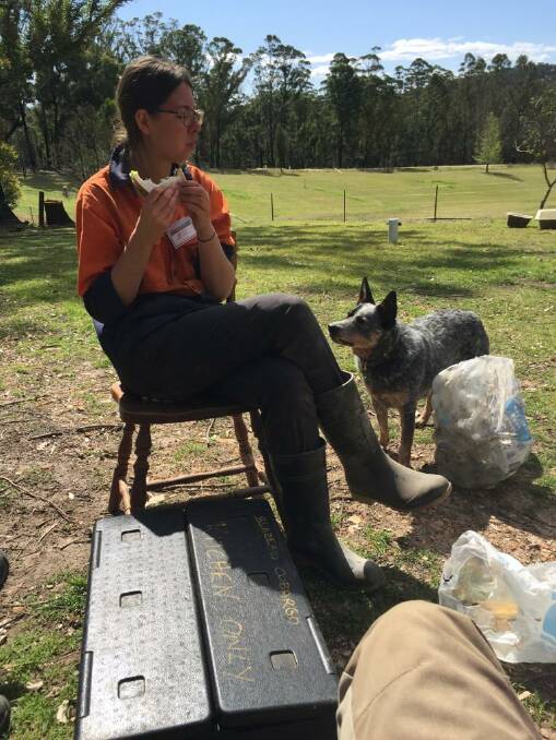 Jess Suttle, pictured enjoying a sandwich, is one of three BlazeAid coordinators that have finished up in Cobargo and Bemboka. 