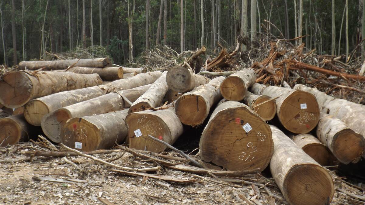 'Stop logging Buckenboura Rd': Letters to the editor