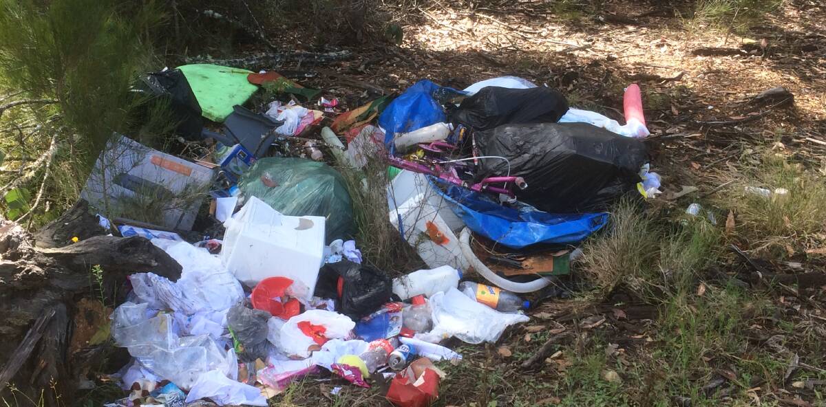 Dumb: Eurobodalla Council investigated more than 100 illegal dumping sites like this in the last twelve months. 