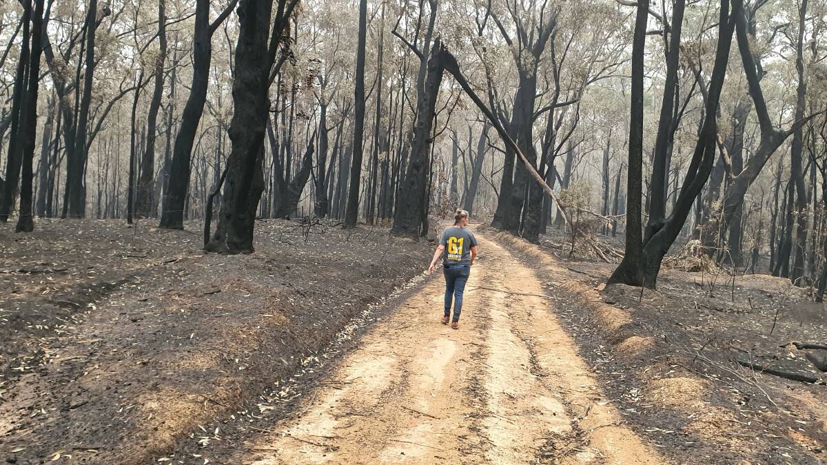 One year since the South Coast bushfires: our editors reflect