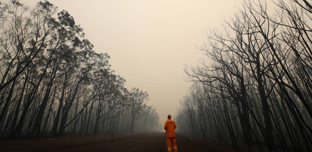 Illawarra Mercury photographer Sylvia Liber's poignant December 30 picture of South Coast Register editor John Hanscombe surveying the scorched trees along Braidwood Road on the way to Tianjara.