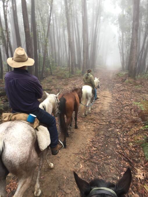 Traversing the Corn Trail, an historic South Coast track that has been maintained by horse riders and national park staff. Picture: Julia Short