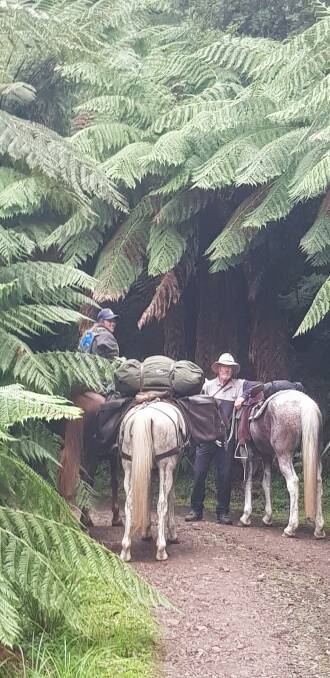 Bella Hart and Michael O'Brien enter a forest of tree ferns on a fire trail linking bridle trails on their 200km horse trek from Nelligen to Bemboka. Picture: Melissa O'Brien