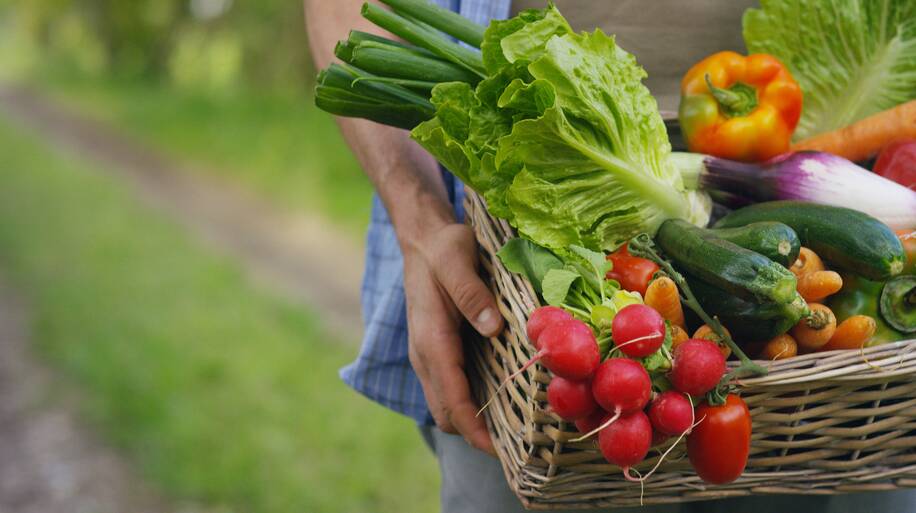 Plant some fruit and veg - they won't let you down. Picture: Shutterstock