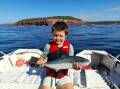 Nine year old Logan Walker shows his lovely catch and release kingfish off Long Point at Merimbula.