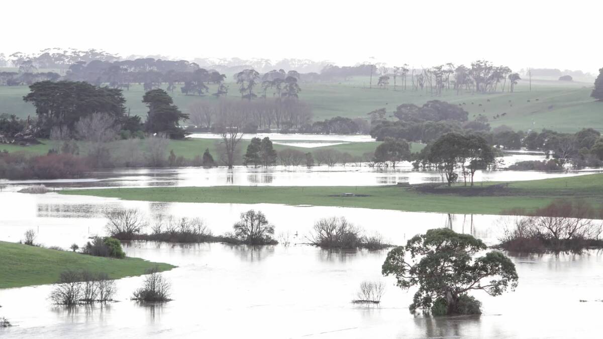 Flooding in supposedly drought stricken Moyne Shire in August.