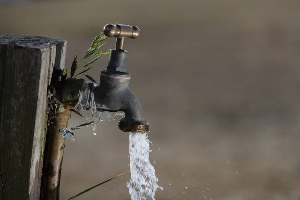 Eurobodalla Shire will move to level 4 water restrictions on January 28. Image: Brook Mitchell
