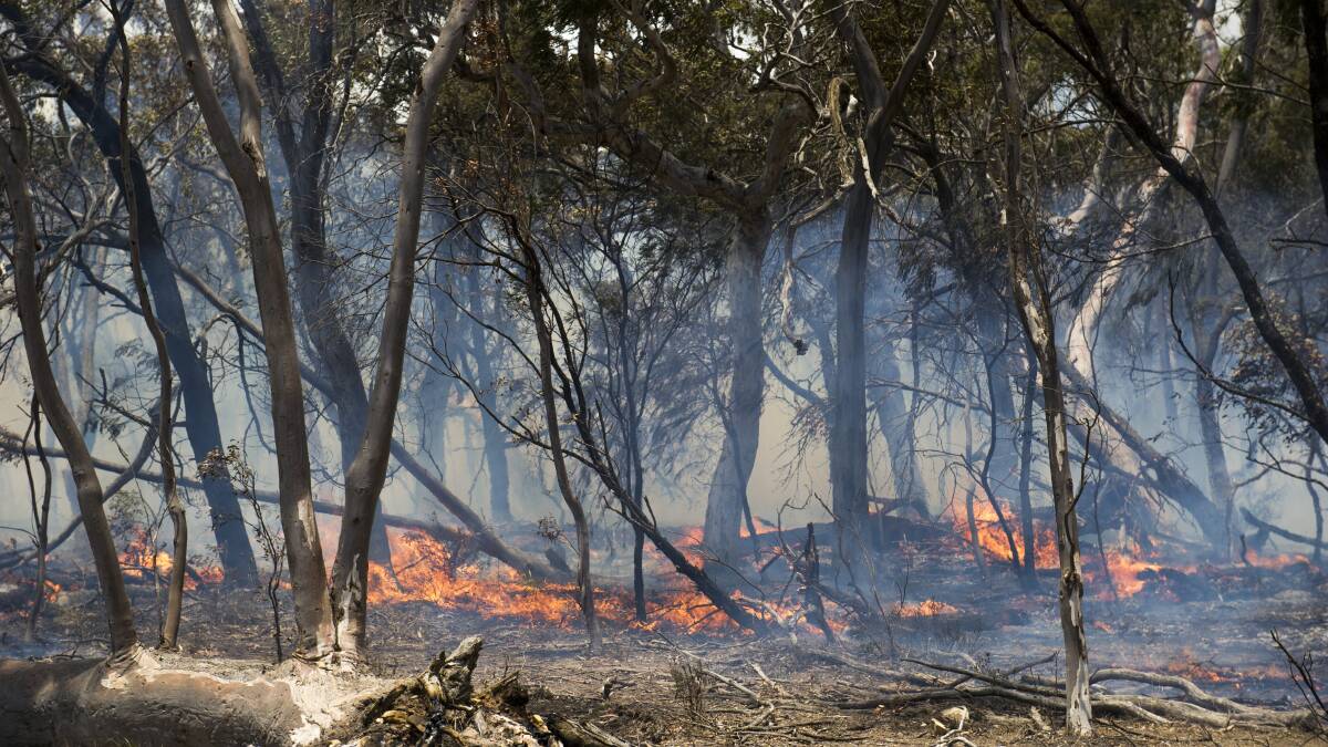 A backburn being conducted by farmers at Butmaroo Station. The bushfire royal commission heard controlled burning could have limited effect in certain areas. Picture: Dion Georgopoulos
