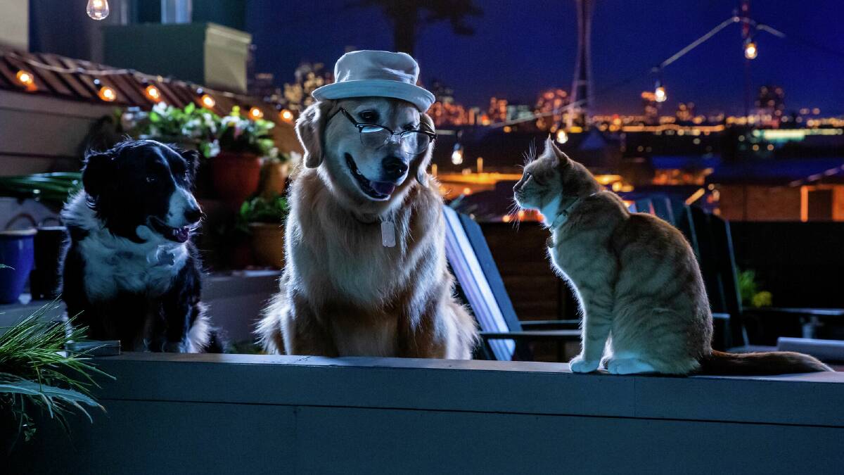 A scene from Cats & Dogs 3: Paws Unite! Picture: Warner Bros