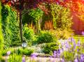 Plants play the lead part in making our gardens magical. Picture: Shutterstock.