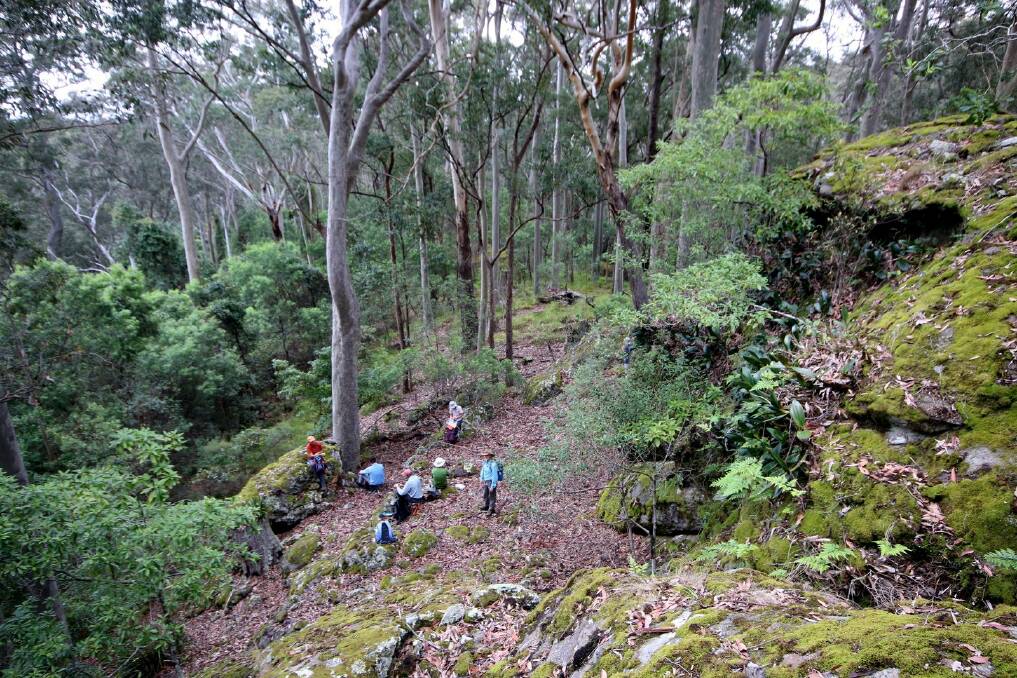 Hidden delights: Batemans Bay bushwalkers explore a lush, mossy gully in Murramarang National Park.