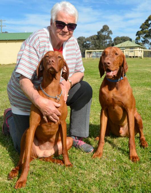Top result: Magda Smyth with Bronte and Nalu. In their first attempt at Utility Dog Class, Magda and Nalu finished first at Bermagui recently, scoring 176/200.