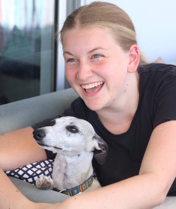 Happy owner Shona Allison with her family’s adopted rescue dog Josie, the wonderful whippet.  Josie was placed with an AWL foster carer before being advertised and was finally settled in a forever home which suited everyone. If you are interested in becoming a foster carer or just want to help raise funds for other carers, please come along to the AWL information Morning Tea kindly hosted by Brand Pets at 26 Glasshouse Rocks Rd., on Feb. 16th from 10 am.  See you there.