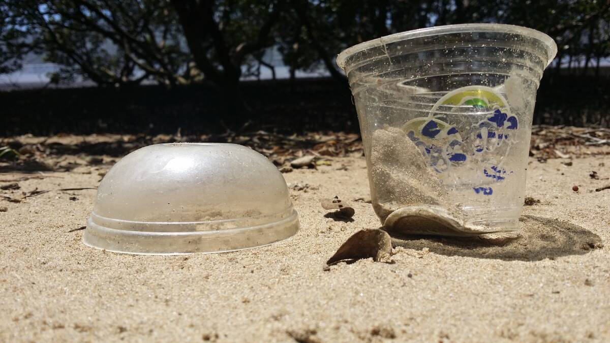 Turn-off: Single-use plastic drink bottles end up as beach pollution, killing wildlife and damaging the region's tourism industry.