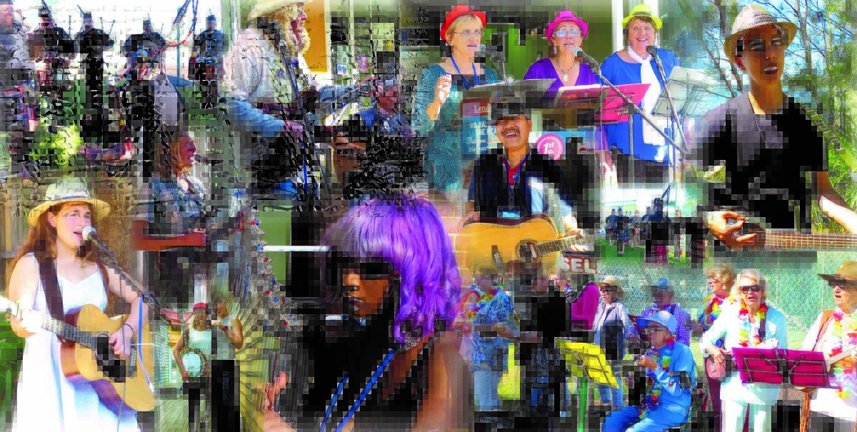 Variety of talent: A collage of some of the 44 buskers who will be at this year's Narooma Busking Championships. Collage: Rachel McInnes