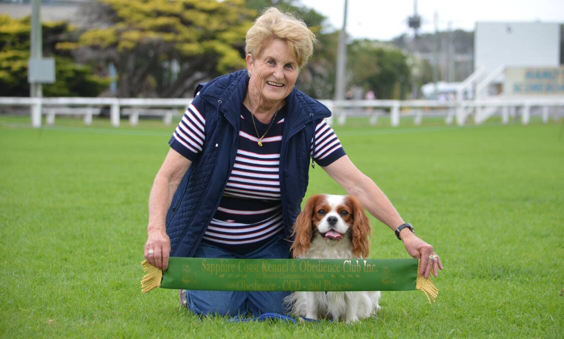 Hilary Coulton competed with Monty in obedience trials at the Sapphire Coast Show, placing 2nd and 4th with scores of 92/100 and 85/100 respectively.