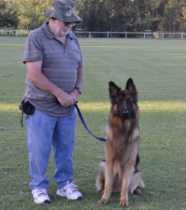 Teamwork: Bill Dobson and his German shepherd, Chief, successfully gained their first pass In Community Companion Dog class last weekend. 