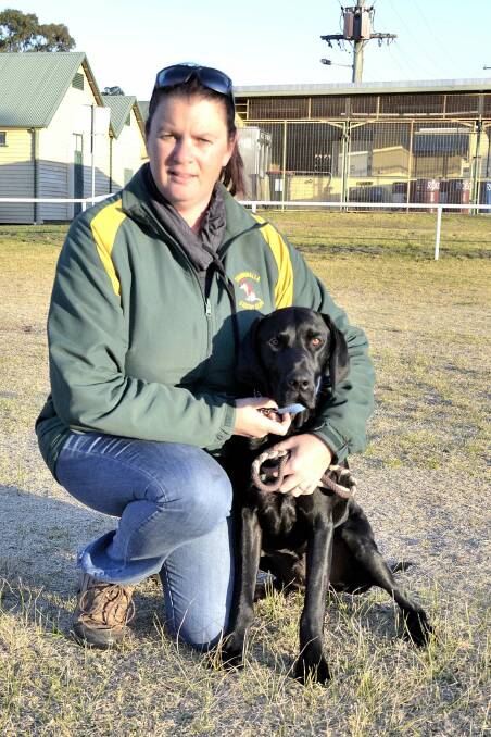 Double delight: Eurobodalla Canine Club member Karen Gould and her dog Harmon have achieved titles in Nowra and Canberra over the past two months.