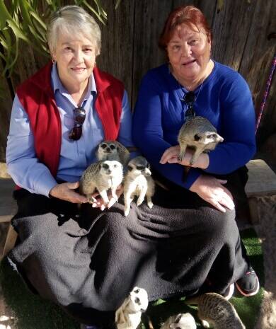 Fashionista: Jenny Scott and Dianne Webb made friends with some cute meercats on a recent visit to Mogo Zoo. I want to do that!
