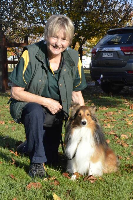 Teamwork: Helen Rand and Holly achieved great success at the ACT State Obedience and Rally O Trials held recently.