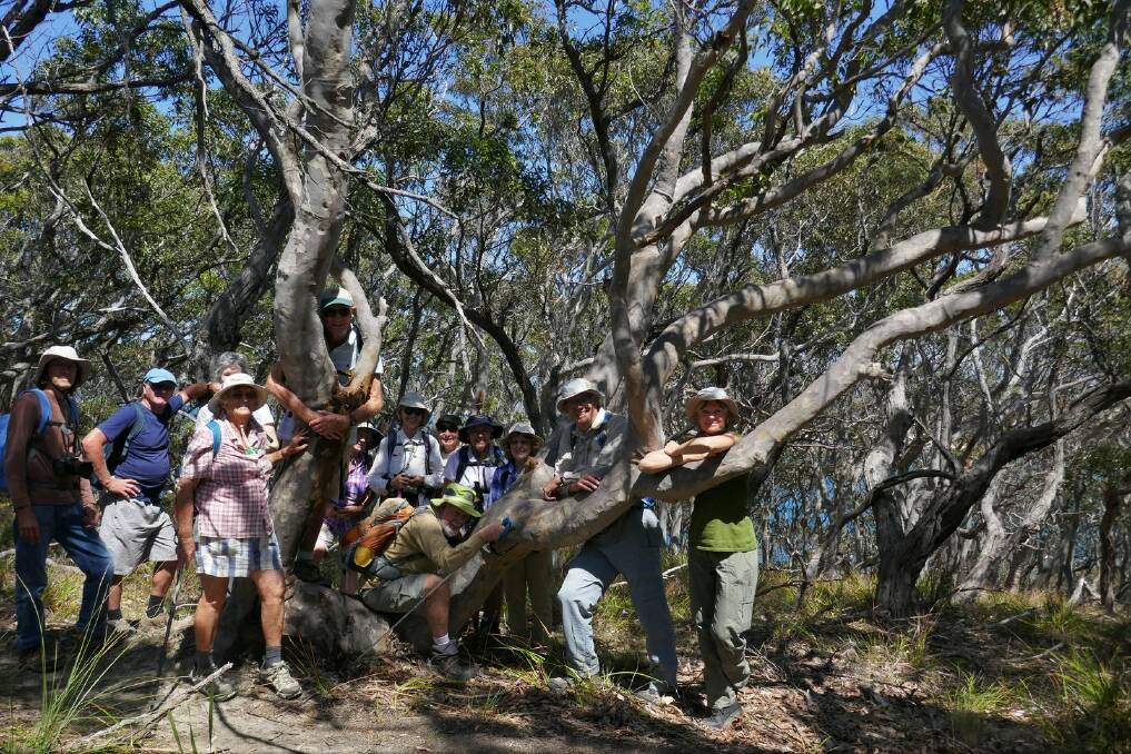 Forest friends: Batemans Bay bushwalkers do a bit of “tree hugging” after investigating the rock platforms of Depot Beach.
