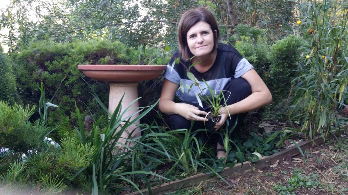 Go native: Council’s natural resource officer Courtney Fink-Downes in her own wildlife-friendly garden.