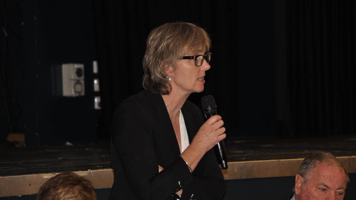 Regional Planning Director Alison McCabe at a previous public meeting.