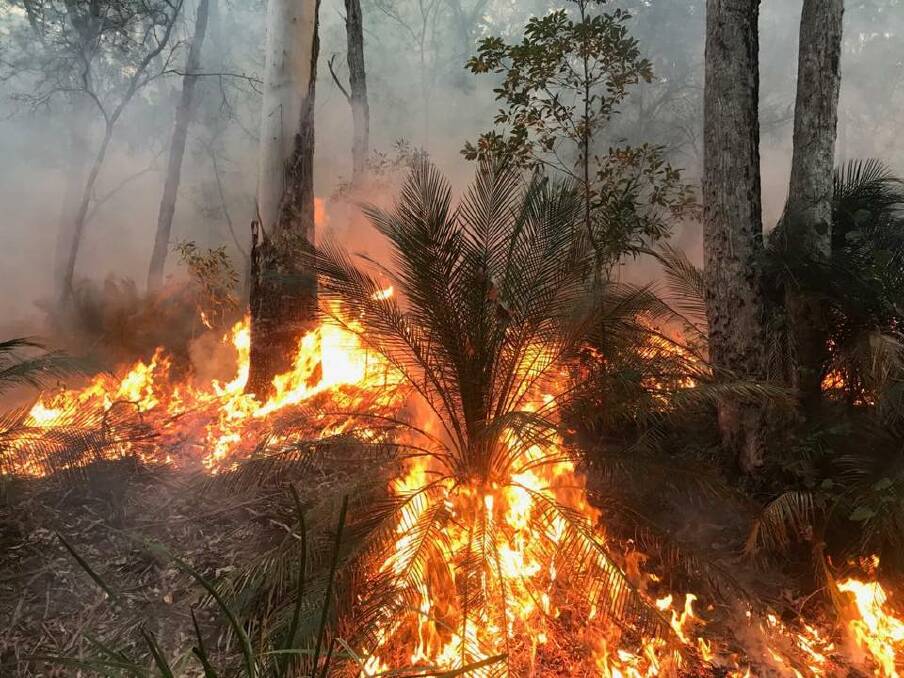 RFS and Forestry crews contain a fire on June 14-16 near Currowan using a back-burning method. Picture: Batemans Bay Rural Fire Brigade.