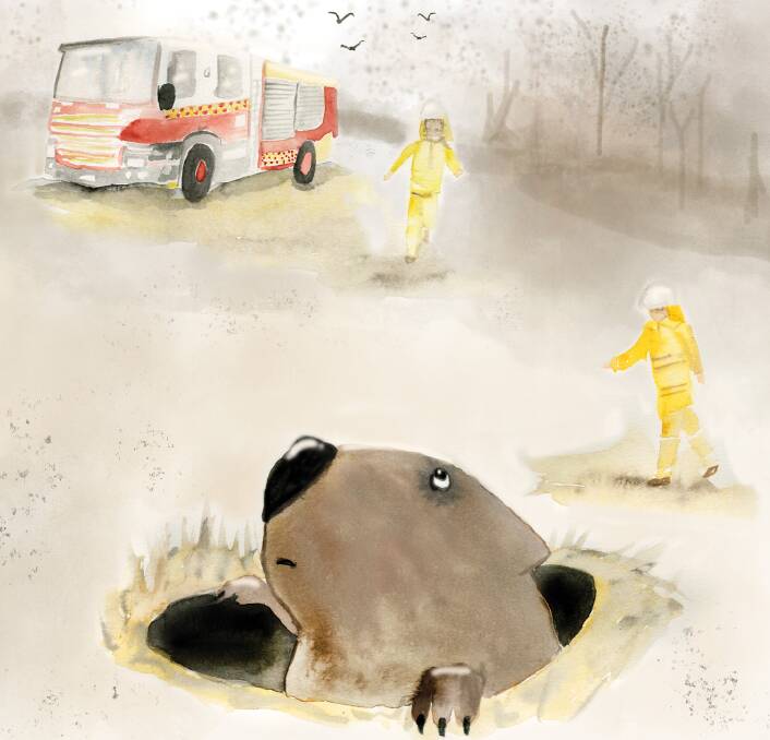 The Brave-Bottomed Wombat" tells the story of a mother wombat saving her joey and other animals from the fires. Watercolour illustrations by Cara King. Image: supplied