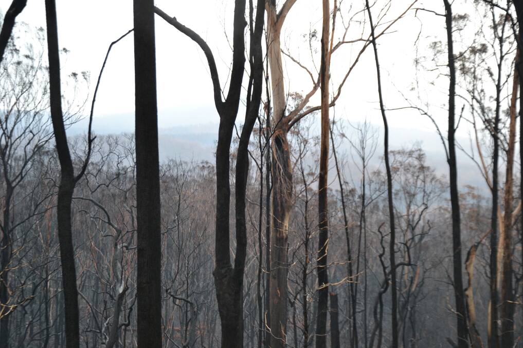 RECOVERY: Up to $10,000 grants are available to help communities in Southern NSW in recovering from the fires, particularly those in isolated communities.
