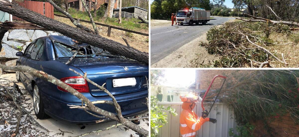 DAMAGING WINDS: SES crews were called to fallen trees across a car, house and roads on Saturday. Pictures: SES Batemans Bay and Moruya.