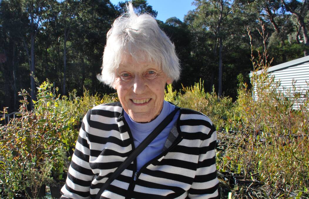 A $5000 scholarship has been established in honour of volunteer herbarium coordinator Jenny Liney OAM at the Eurobodalla Regional Botanic Garden south of Batemans Bay.