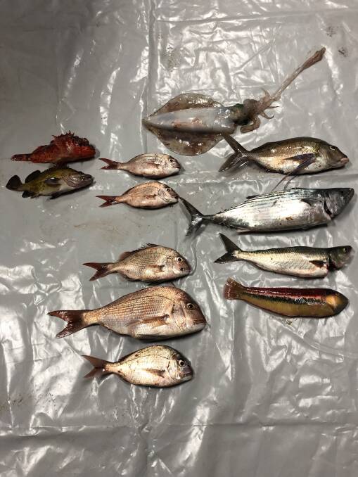 NSWDPI said an ACT man was observed allegedly exchanging fish for cash at Hanging Rock boat ramp. Picture: NSW Department of Primary Industries.