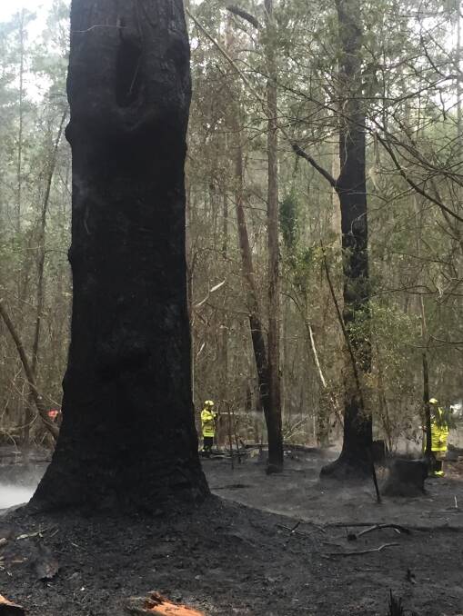 Fire and Rescue said the fire spread rapidly 300 metres uphill into half an acre of dense bush land. Picture: Batemans Bay Fire and Rescue.