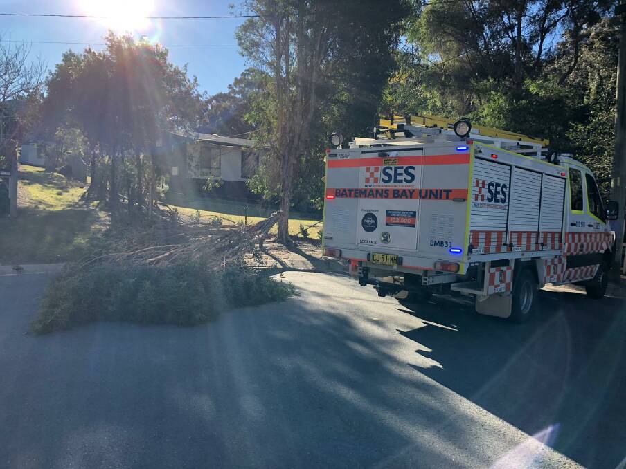 A tree fell blocking two driveways at Malua Bay after windy weather on August 9. Picture: Batemans Bay SES
