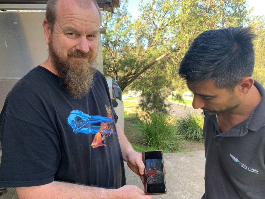 Steve Benjamin shows a photo of the cane toad his family caught in the creek bordering their Catalina backyard to Eurobodalla Shire Councils Invasive Species Officer Paul Martin.