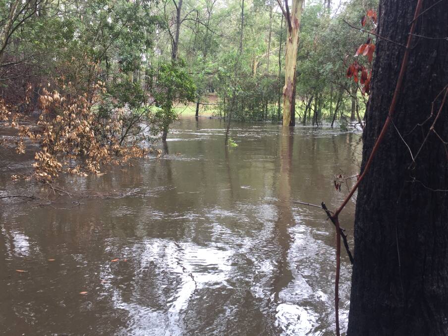 Heavy rainfall in early February flooded the Cockwhy Creek. Rain has pushed Eurobodalla Shire's water supply up to 60 percent capacity, but more rainfall is needed for restrictions to ease. Image: Kerrie O'Connor