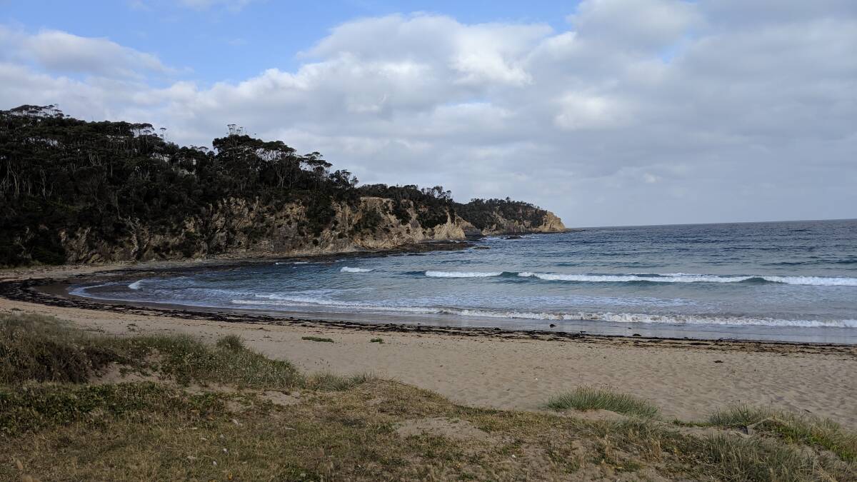 The track will start at Observation Point in Batehaven where a new lookout will be built, and stretch south along the headlands to Pretty Point near Mackenzies Beach (pictured).