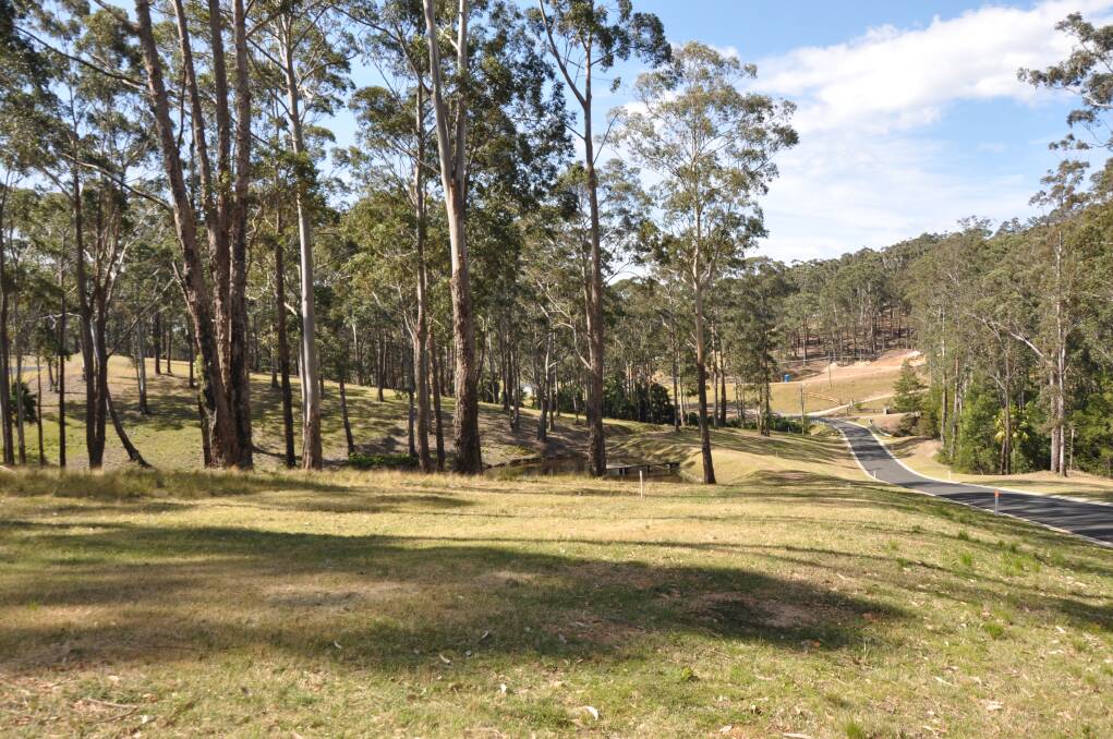 Environmental group 350 Eurobodalla has concerns approval of the Rural Lands Strategy will lead to deforestation. File picture.