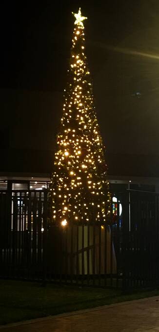 Batemans Bay's Christmas tree is now on display.