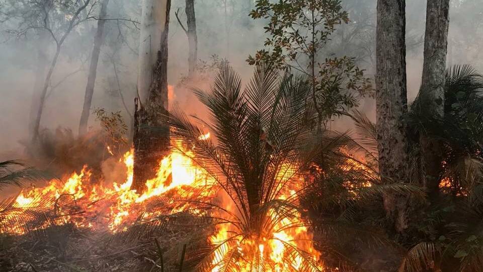 A 10-hectare fire has been sparked by powerlines at a private property at Bingie Rd, Bingie on Thursday, August 22, RFS says. File picture.