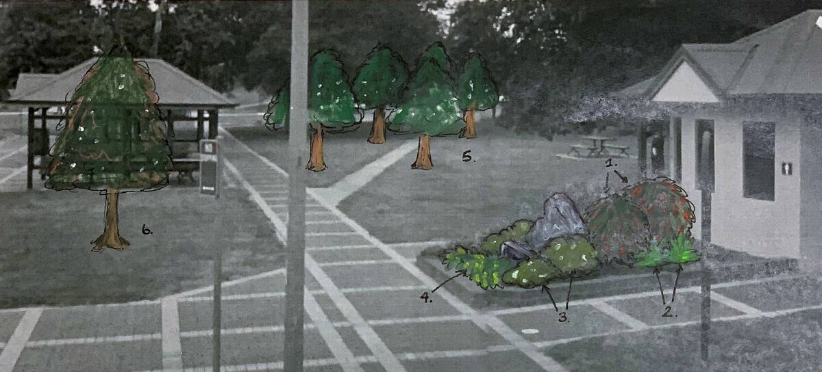Artist impression of Apex Park with tree-lined avenue, new shade trees and a feature garden.