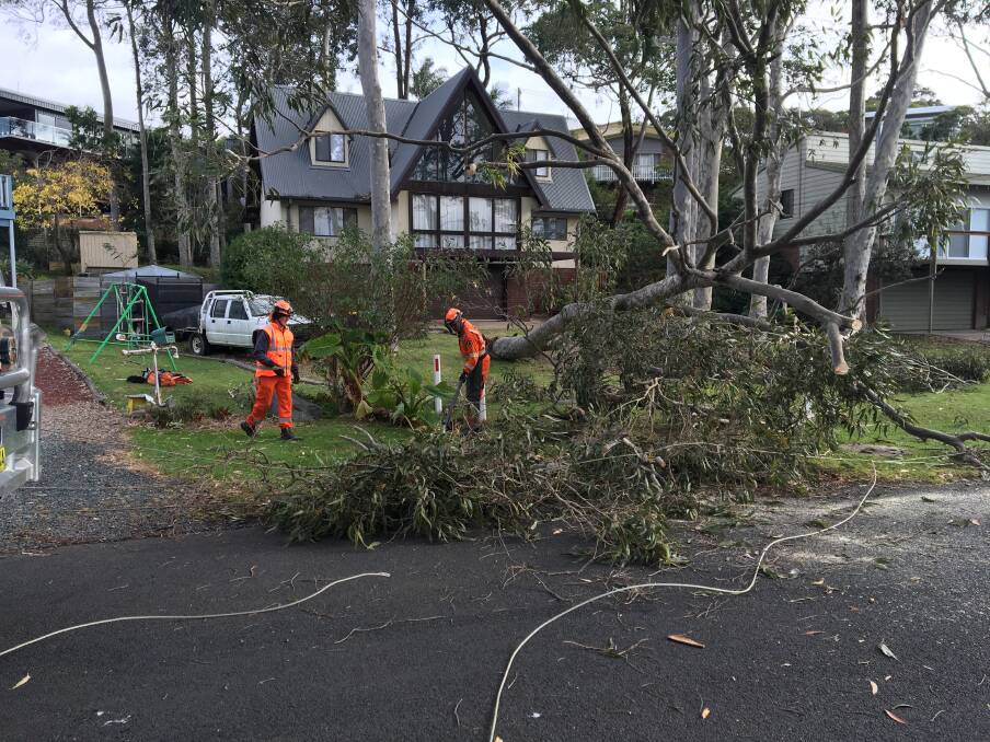 A large tree took down power lines at Preddy's Wharf Road, Moruya Heads, on June 4. The Bureau of Meterology has issued severe weather warnings for the South Coast for Wednesday and Thursday, July 10-11.