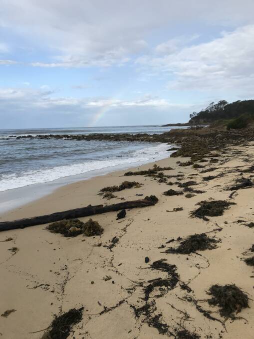 Although water quality has improved and Eurobodalla Shires beaches are open for swimming, caution is advised and areas of murky and discoloured water avoided. Logs and debris could pose a risk to swimmers and watercraft.