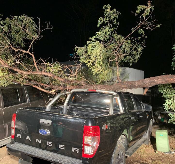 Batemans Bay SES crews said they removed the branch, but one of the cars had already sustained significant damage. Picture supplied by NSW SES Batemans Bay Unit.