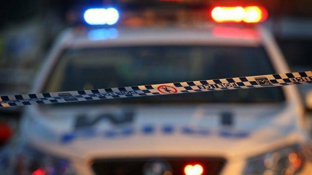 Man killed on Princes Highway after car crashes into tree at Termeil