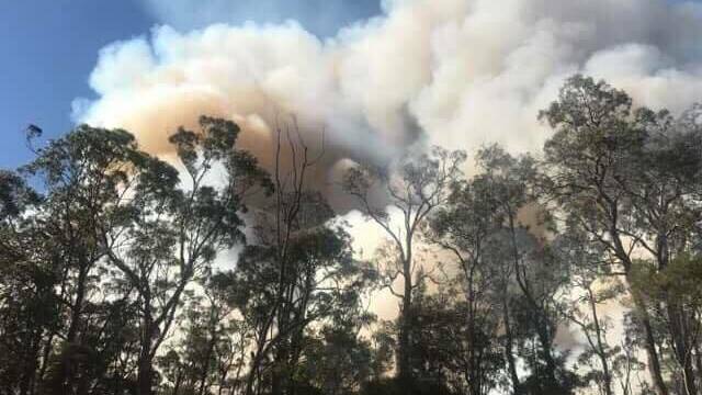 A South Coast fire in January 2018. Picture: RFS