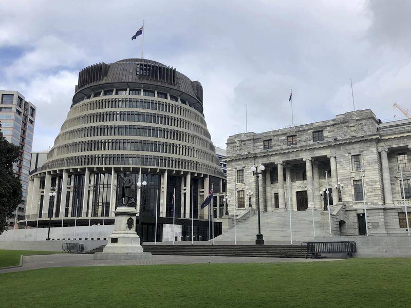 The speaker of New Zealand;s parliament has made the workplace more parent-friendly.