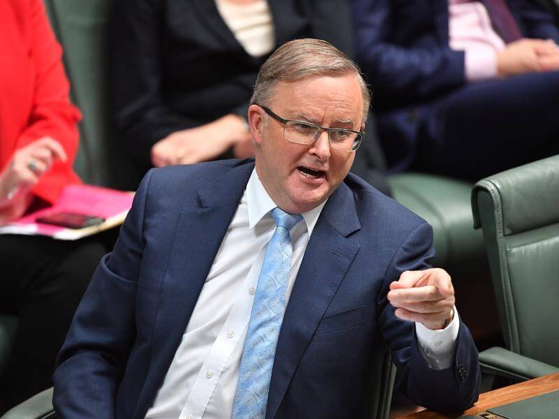 Labor leader Anthony Albanese will seek to reset the party's approach to the business sector.