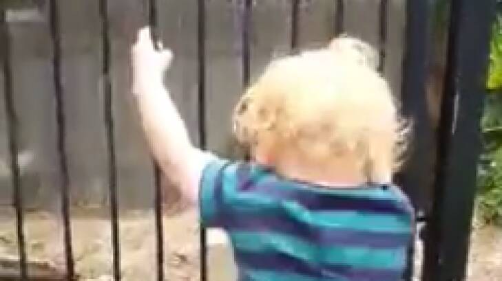 Brodie Atkinson climbs the fence. Photo: Facebook/Wendy Atkinson